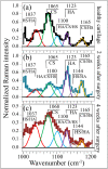Fig. 4