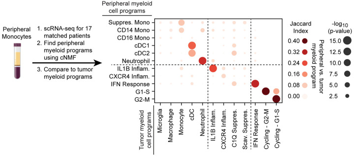 Extended Data Fig. 3: