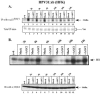 FIG. 8.