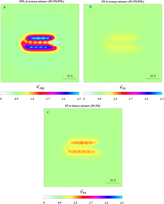 FIGURE 4