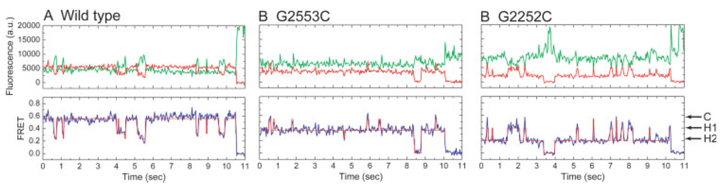 FIGURE 3