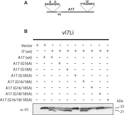 FIG. 6.