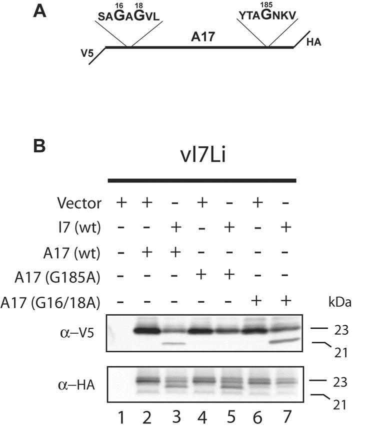 FIG. 7.