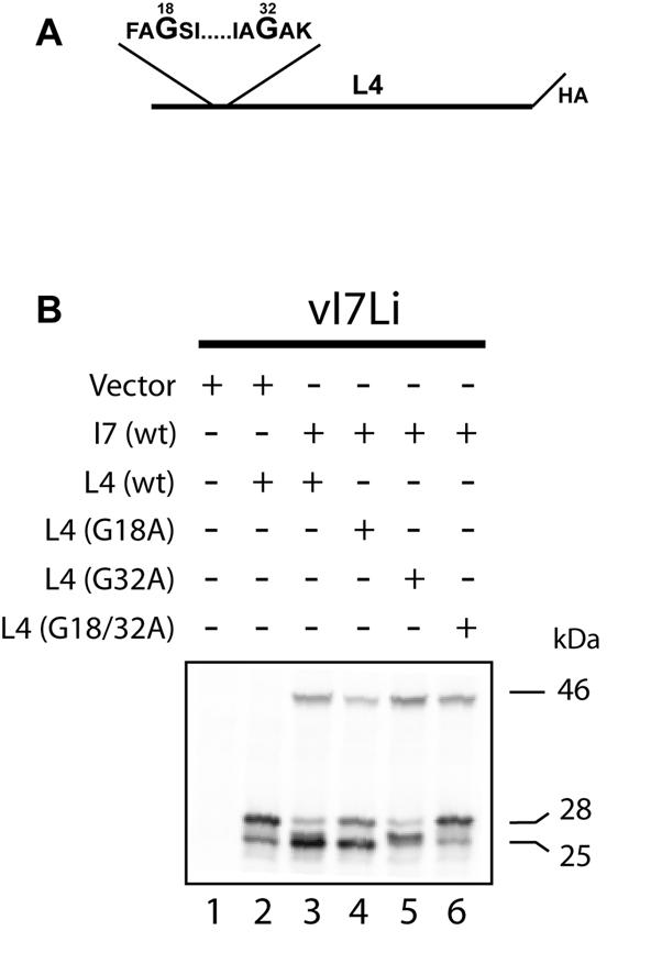 FIG. 8.