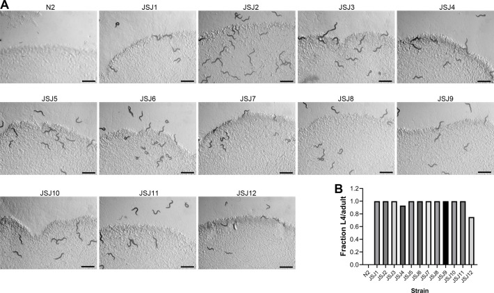 Figure 3—figure supplement 1.