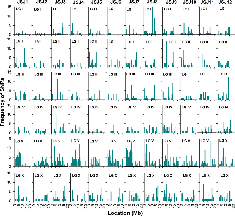 Figure 3—figure supplement 2.