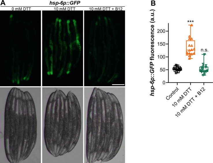 Figure 3—figure supplement 4.