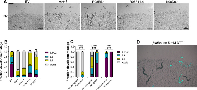 Figure 3—figure supplement 3.