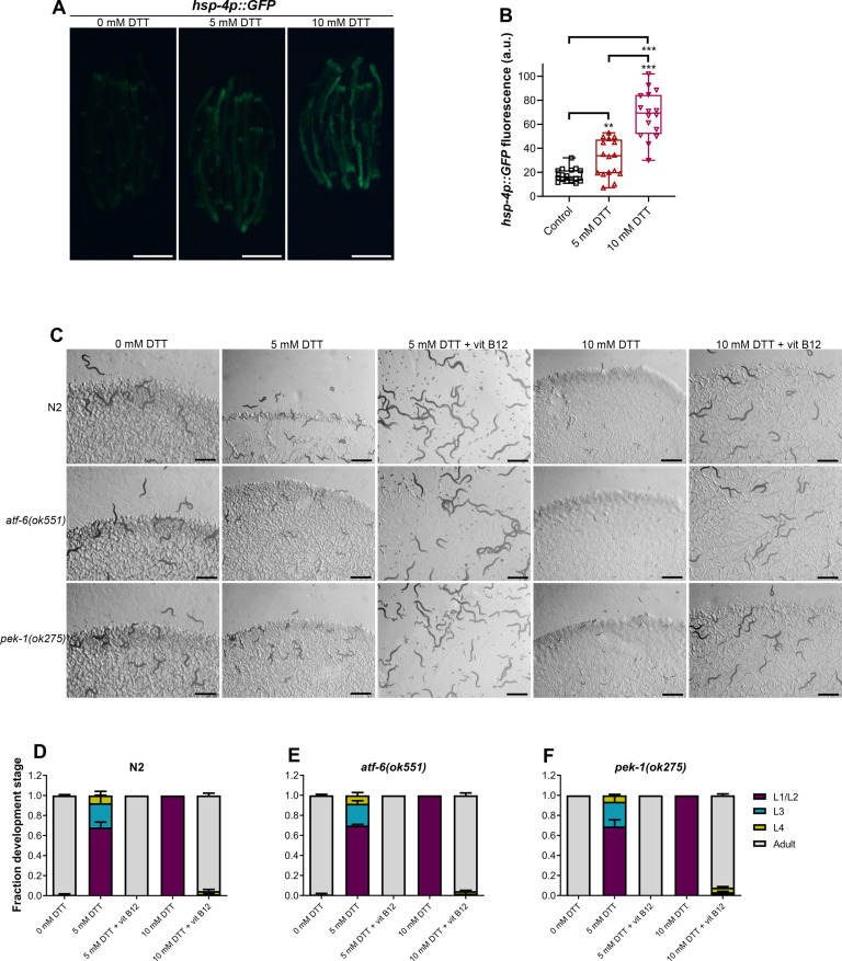 Figure 6—figure supplement 1.