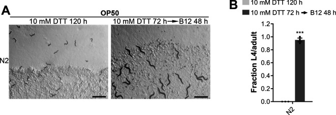 Figure 2—figure supplement 1.