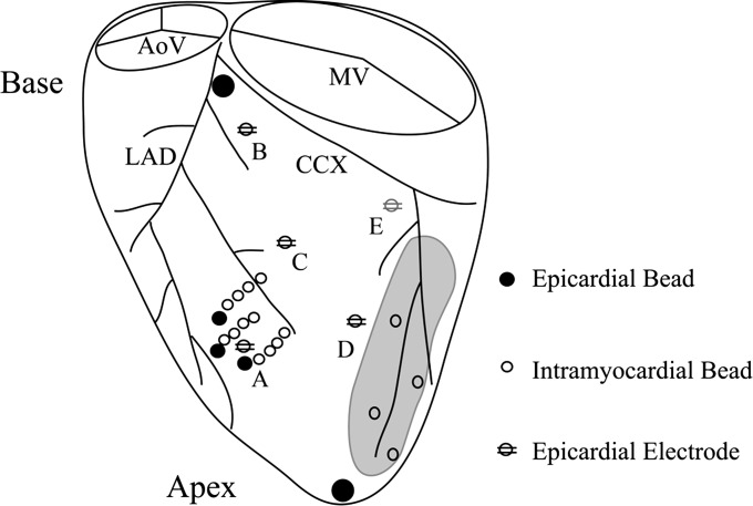 Fig. 1.