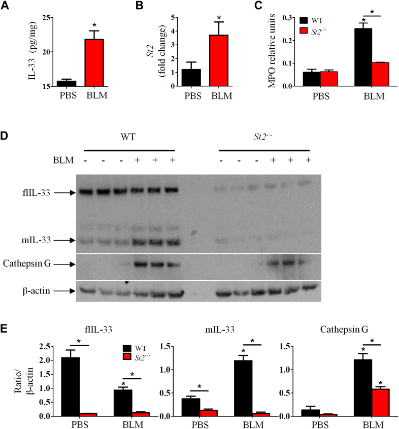 Fig E2