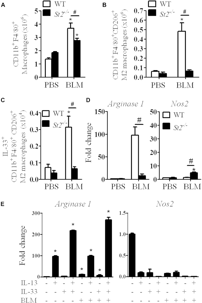 Fig 5