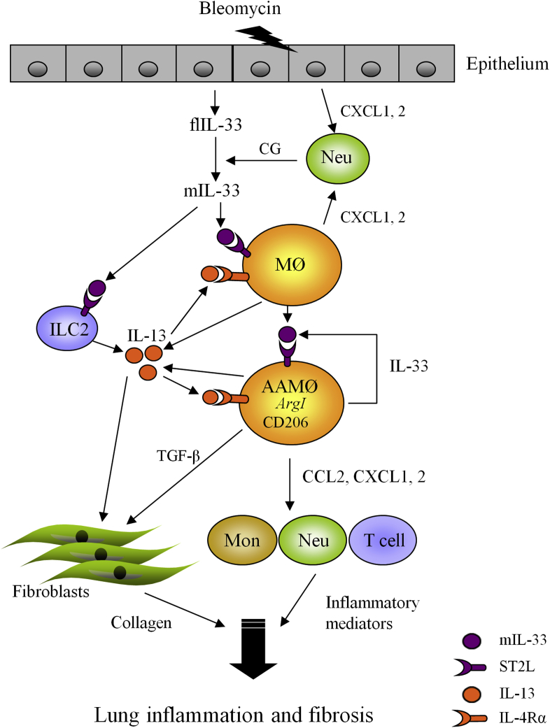 Fig E6