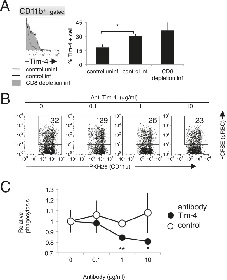 Figure 10.