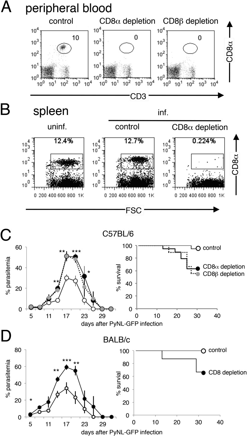 Figure 1—figure supplement 1.