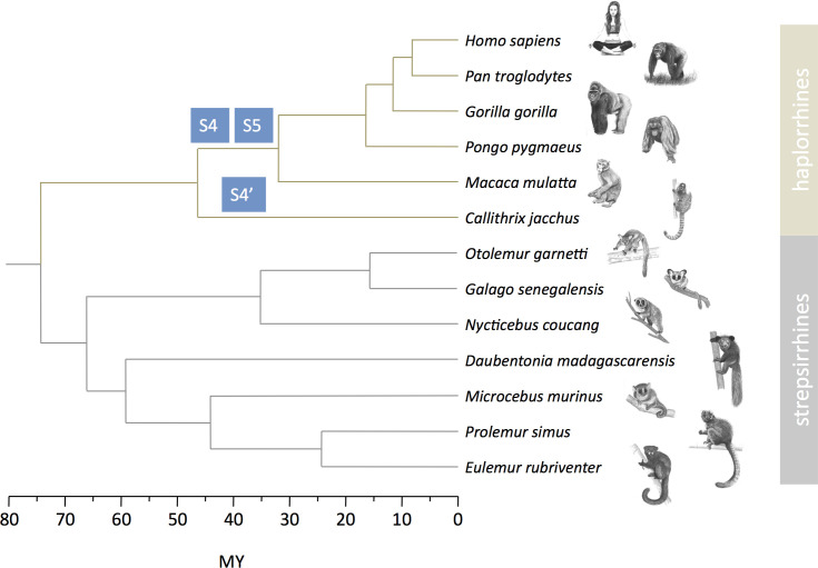 Figure 2.