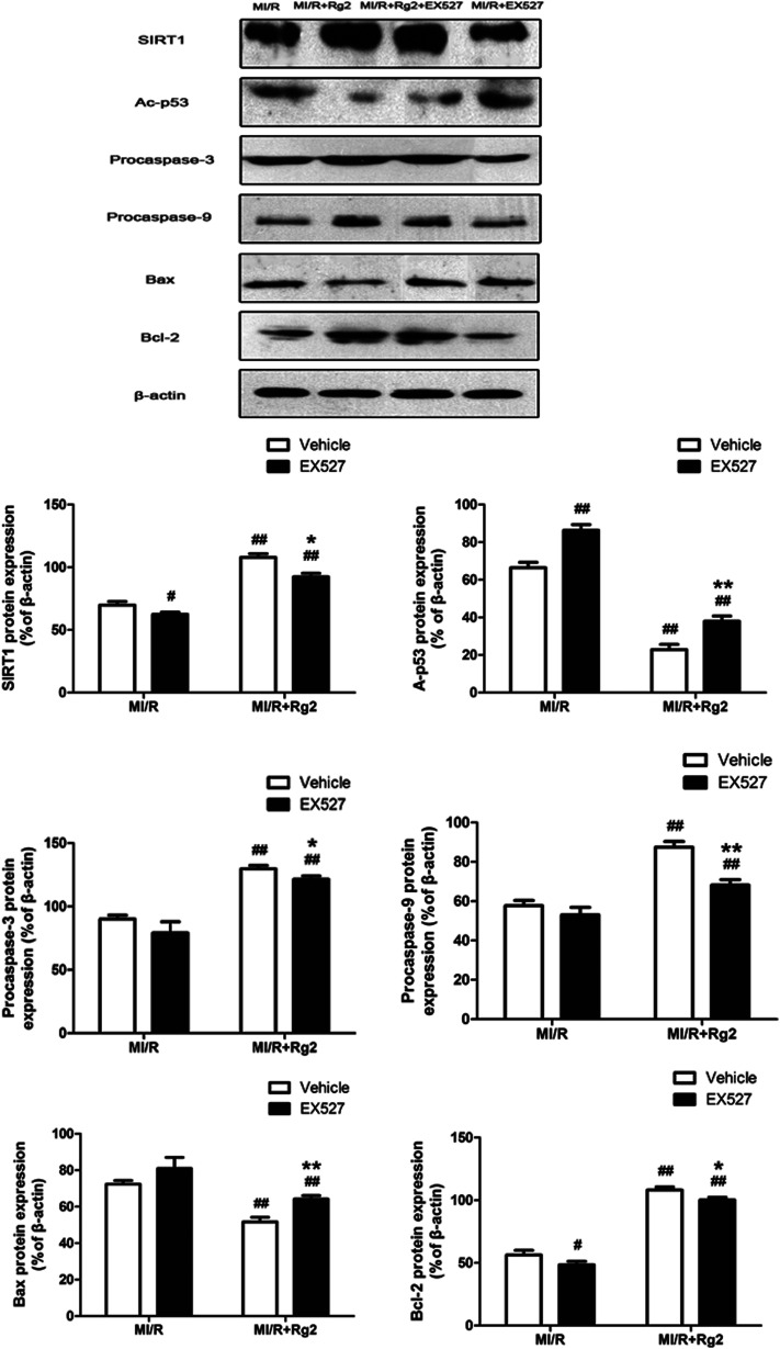 Fig. 11