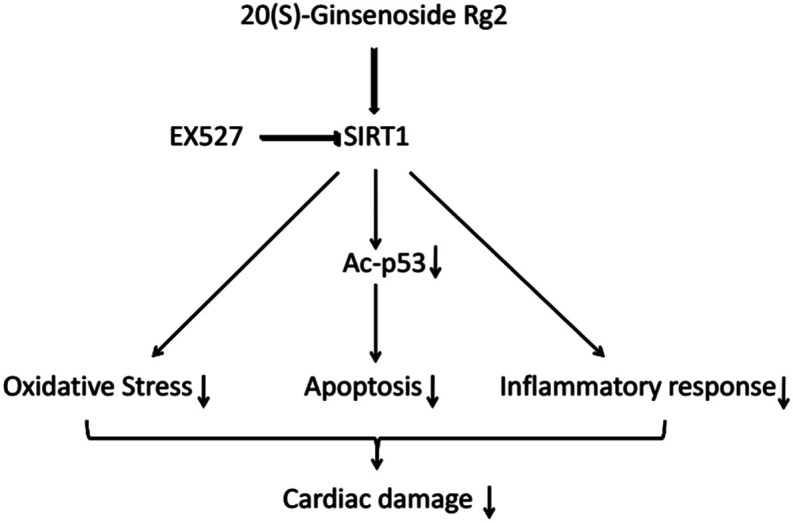 Fig. 12