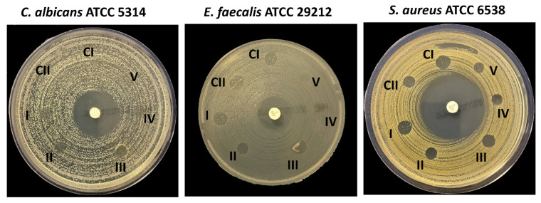 Figure 11