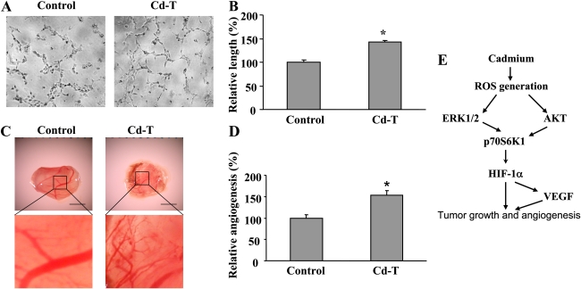 FIG. 8.