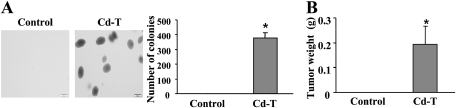 FIG. 7.