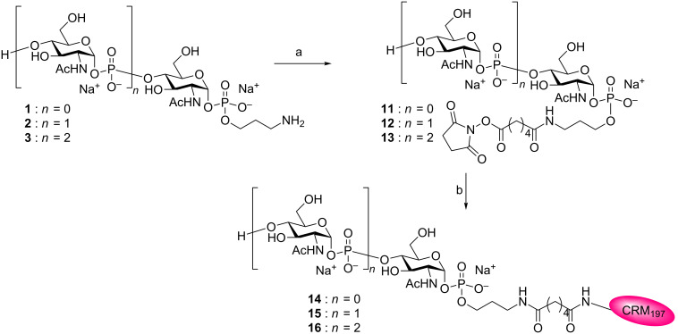 Scheme 3