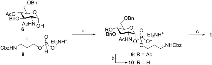 Scheme 2