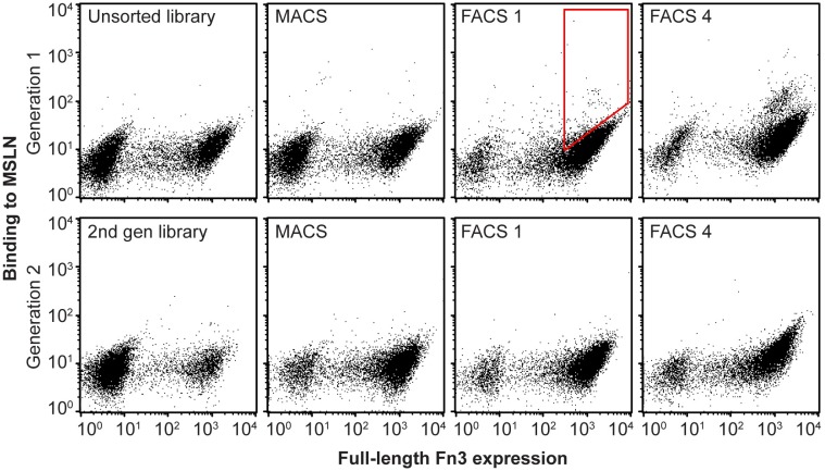 Fig 2