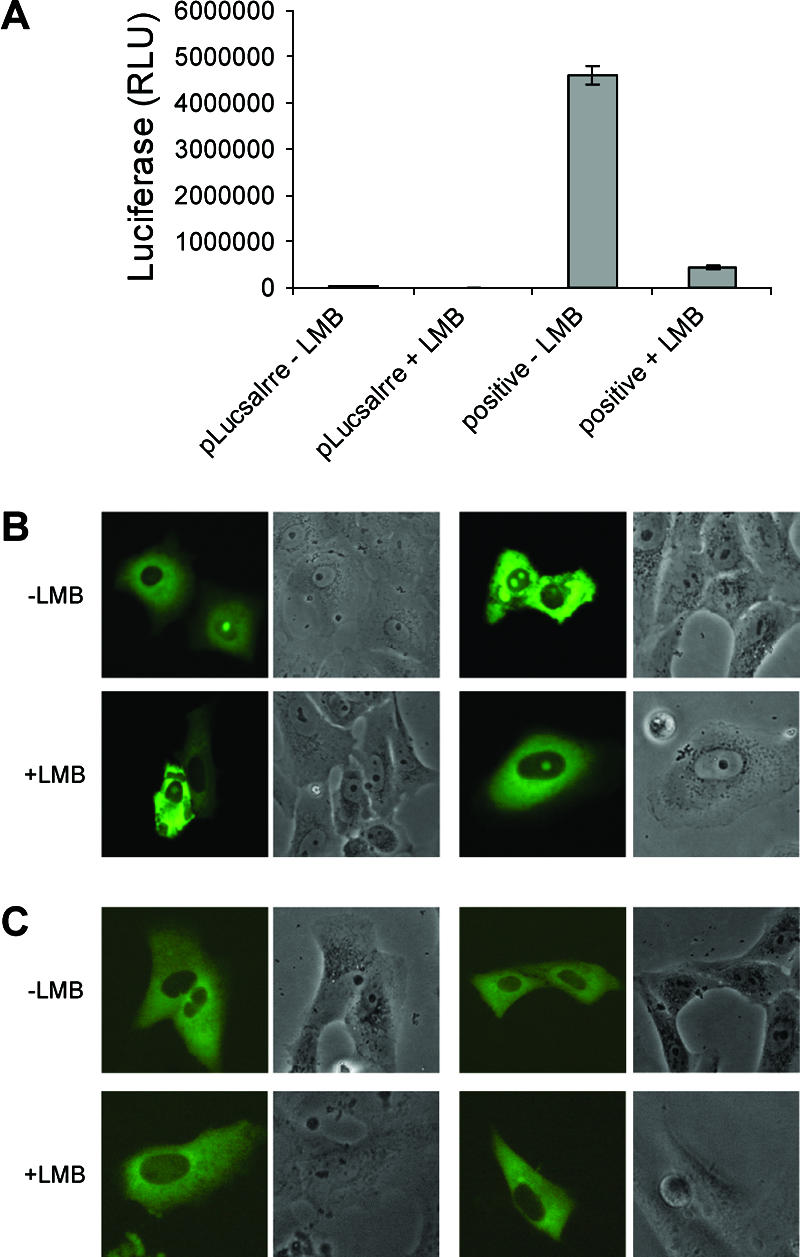 FIG. 6.