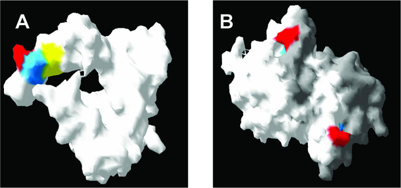 FIG. 7.