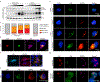 Figure 3 |