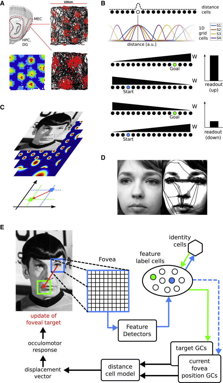 Figure 1