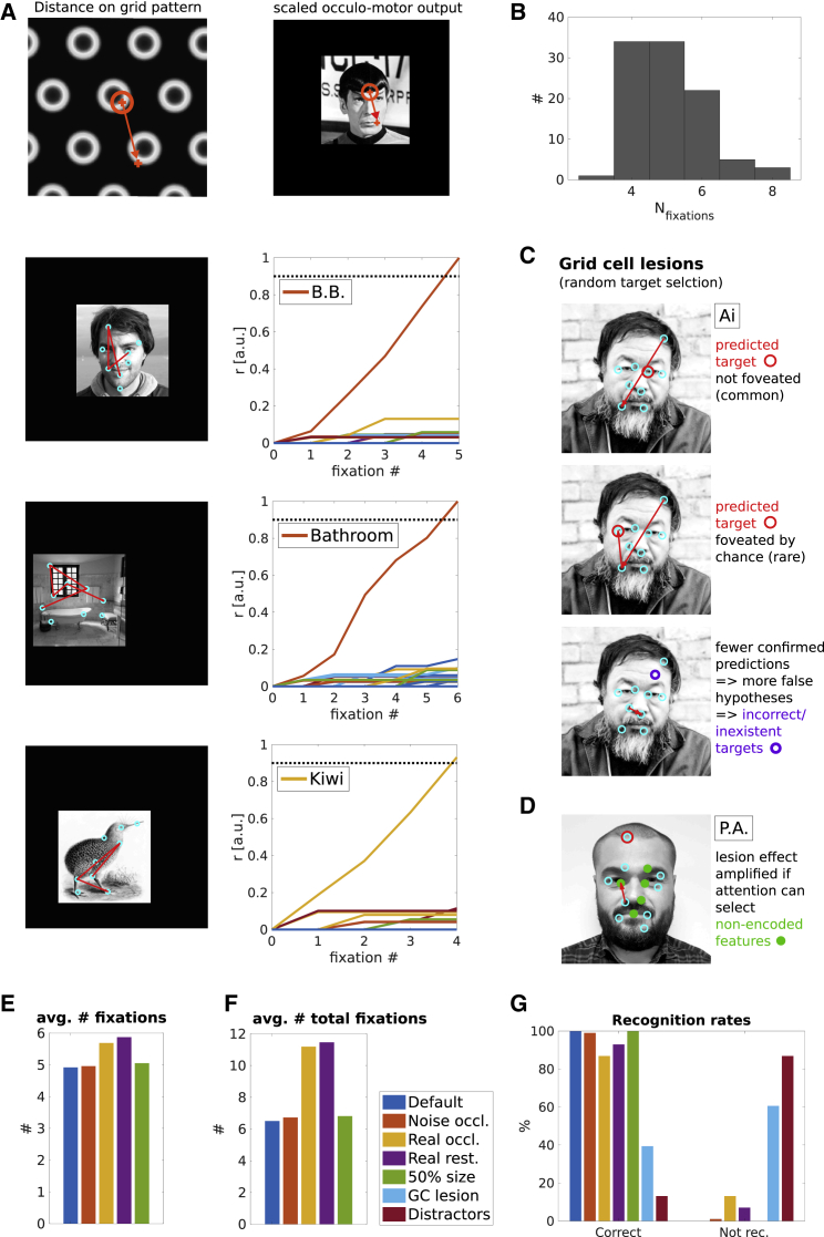 Figure 5