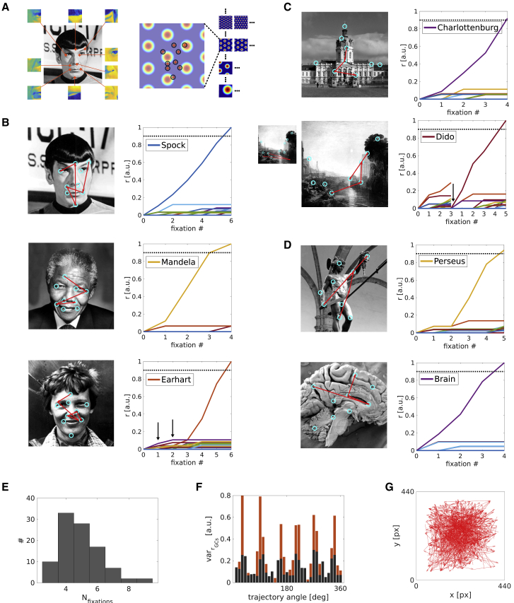 Figure 3