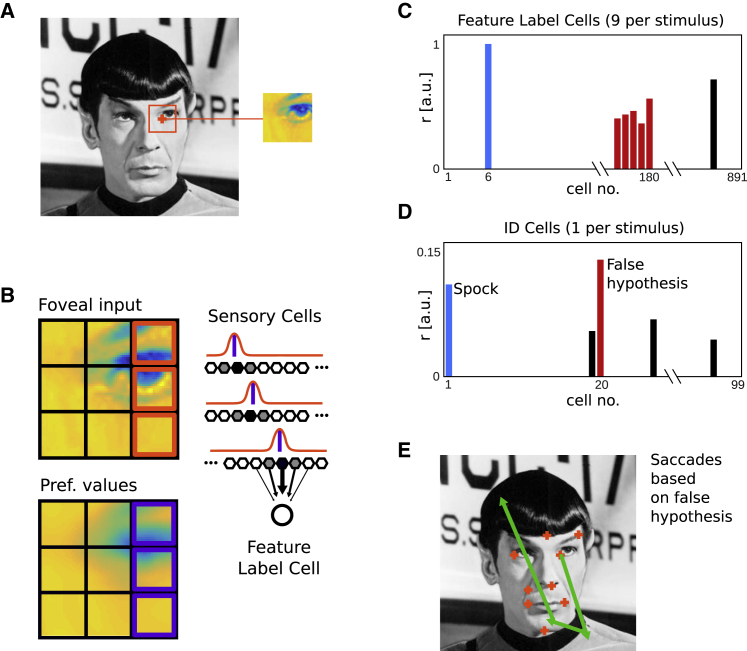 Figure 2