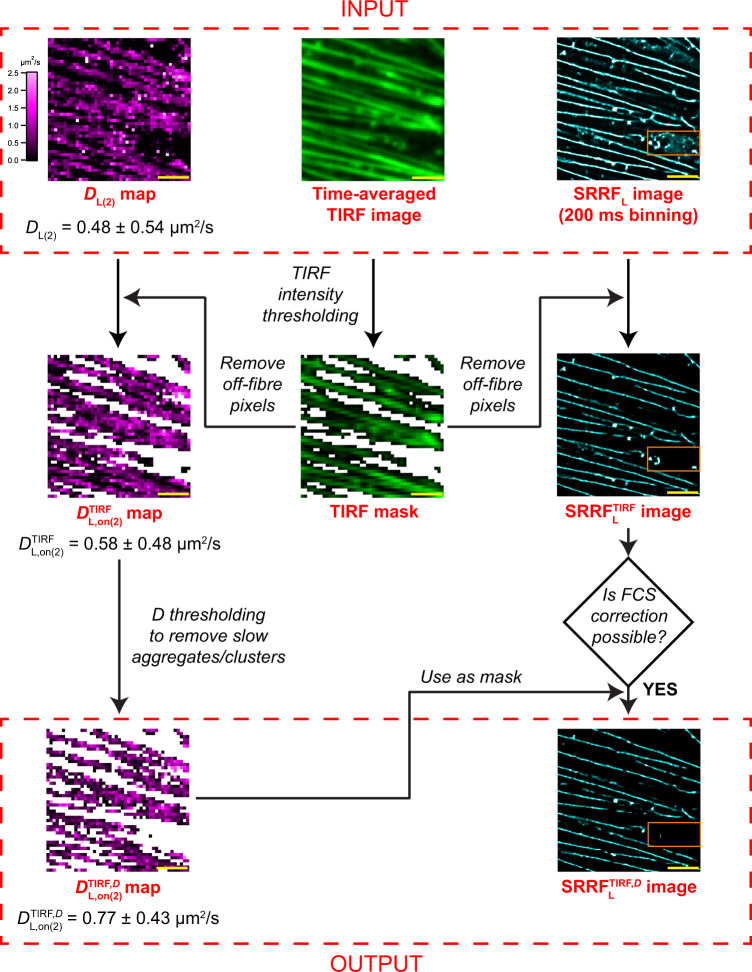 Fig. 3