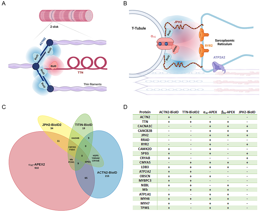 Figure 5: