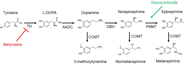 Figure 1