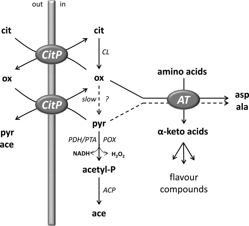 Fig 1