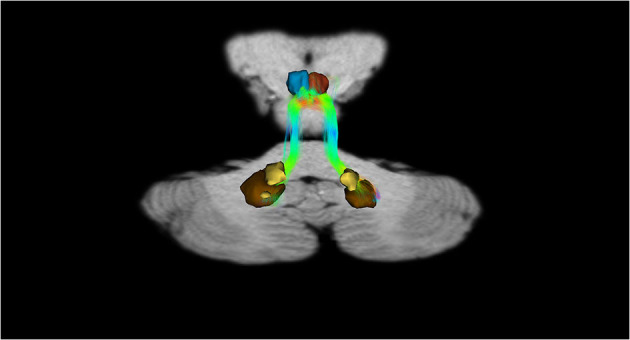 Figure 7