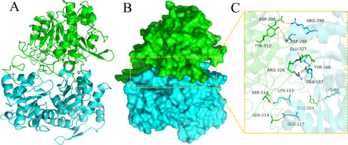 Fig. 8