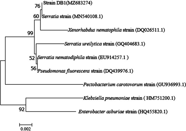 Fig. 2