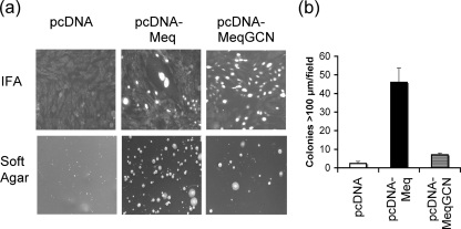 FIG. 6.