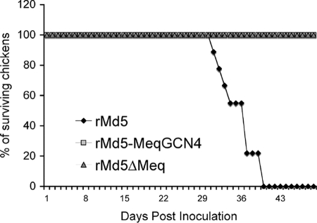 FIG. 13.