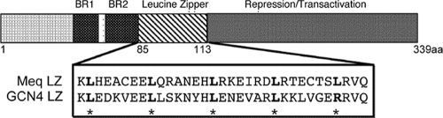 FIG. 2.