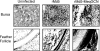 FIG. 10.