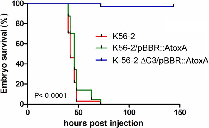 FIG 1