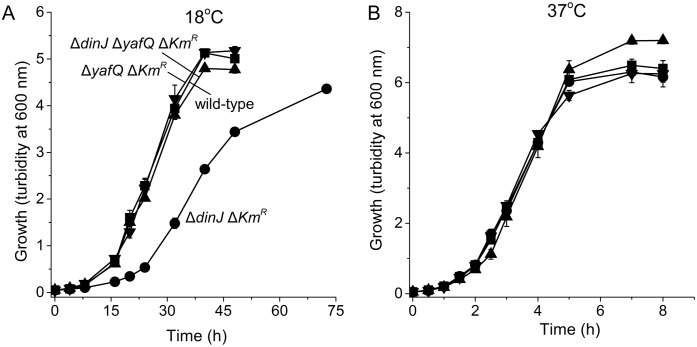 Fig 2