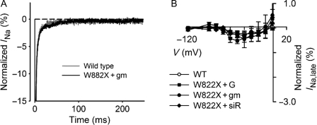 Figure 5